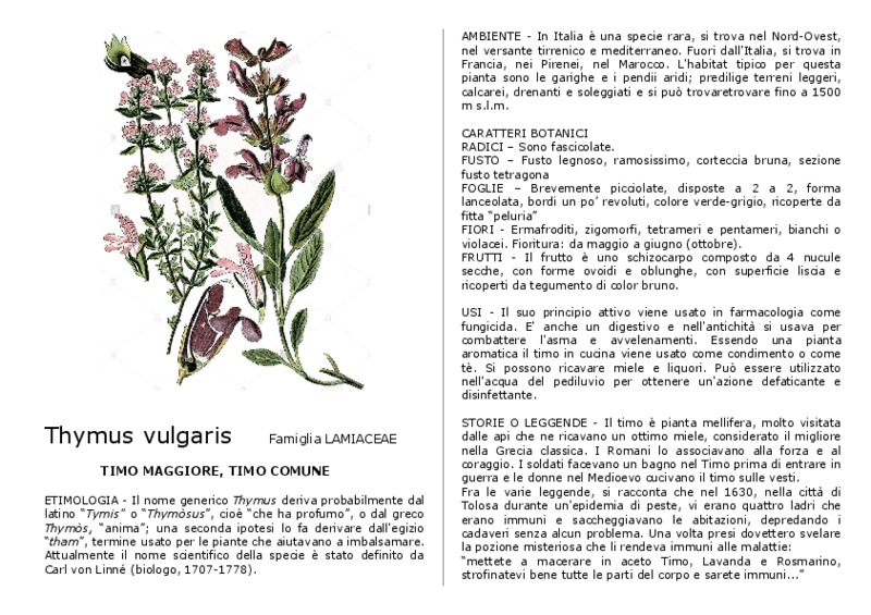 Thymus_vulgaris.pdf